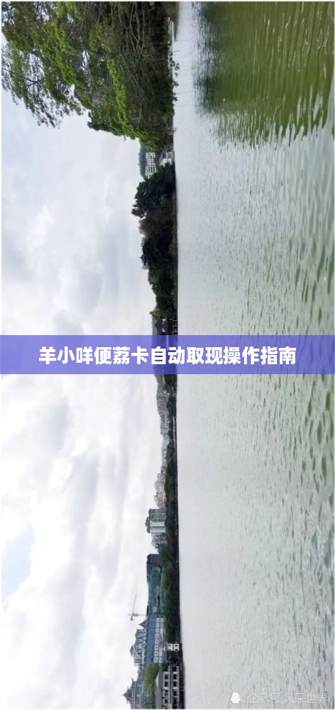 羊小咩便荔卡自动取现操作指南