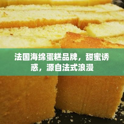 法国海绵蛋糕品牌，甜蜜诱惑，源自法式浪漫