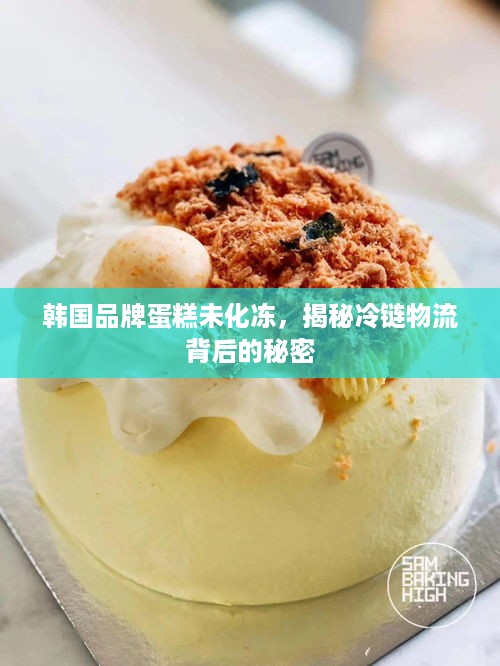 韩国品牌蛋糕未化冻，揭秘冷链物流背后的秘密
