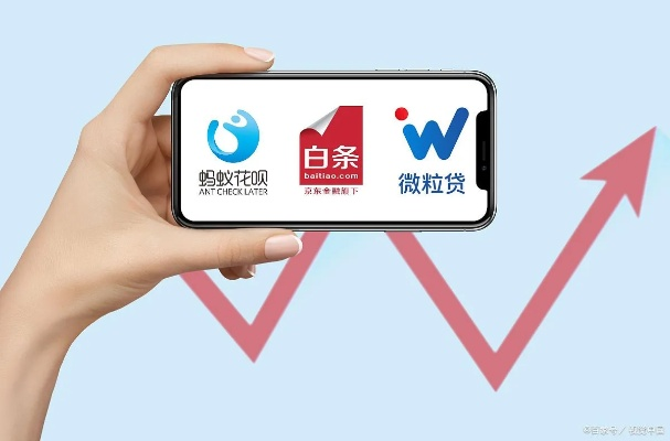 白条套出来秒回商家指南