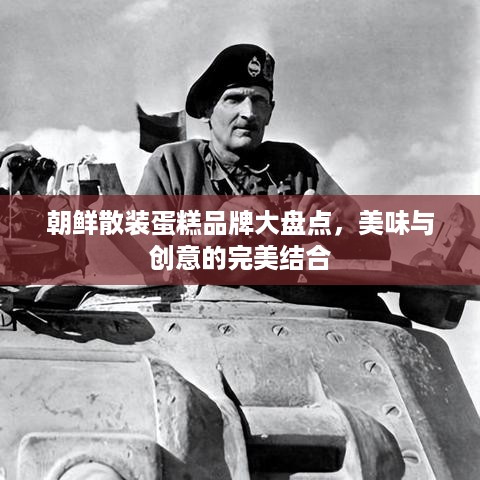 朝鲜散装蛋糕品牌大盘点，美味与创意的完美结合