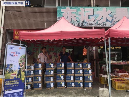 运城羊小咩便荔卡套探店