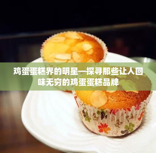 鸡蛋蛋糕界的明星—探寻那些让人回味无穷的鸡蛋蛋糕品牌