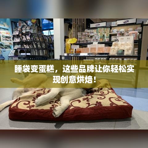 睡袋变蛋糕，这些品牌让你轻松实现创意烘焙！