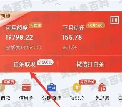 京东白条闲钱多赚取现攻略