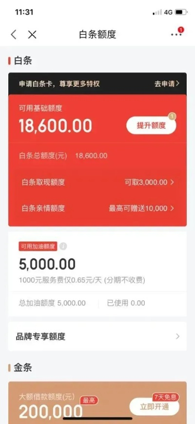 京东白条闲钱多赚取现攻略