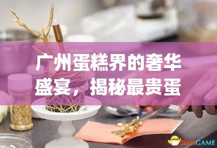 广州蛋糕界的奢华盛宴，揭秘最贵蛋糕品牌及案例