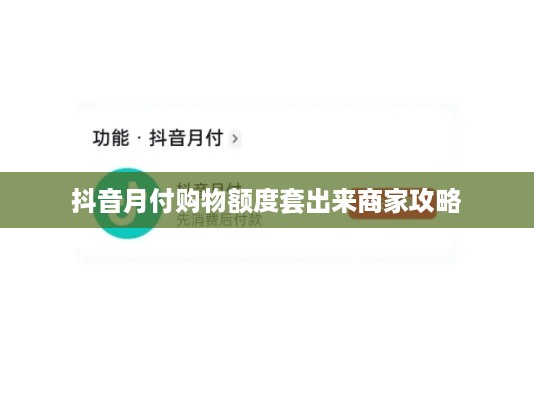 抖音月付购物额度套出来商家攻略