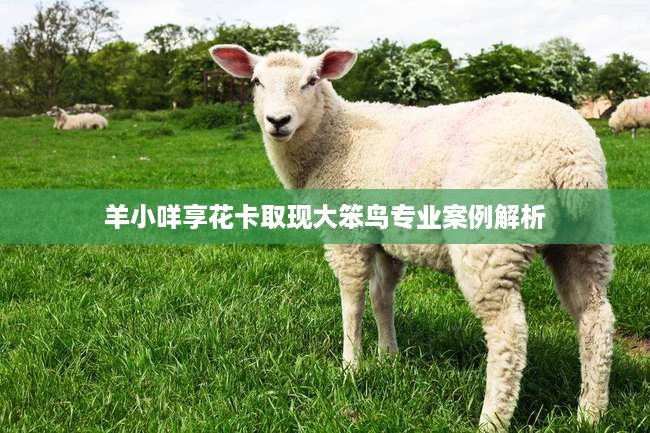 羊小咩享花卡取现大笨鸟专业案例解析