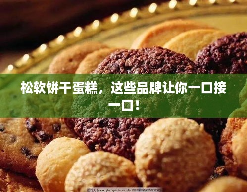 松软饼干蛋糕，这些品牌让你一口接一口！