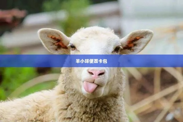 羊小咩便荔卡使用体验及提现攻略