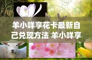 羊小咩享花卡套使用攻略，立即获取方法大揭秘