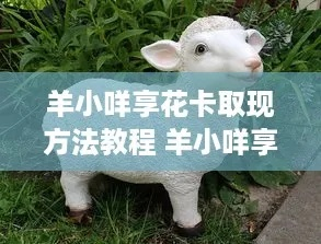 羊小咩享花卡套使用攻略，立即获取方法大揭秘