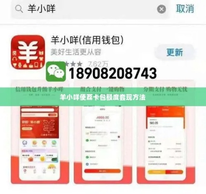 西安车主羊小咩便荔卡套取攻略