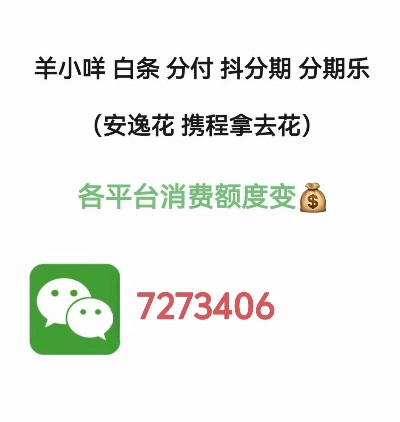 西安车主羊小咩便荔卡套取攻略