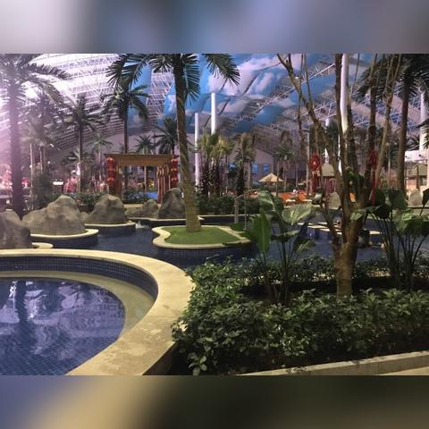 牡丹江酒店查询住宿记录
便捷查询牡丹江酒店住宿记录