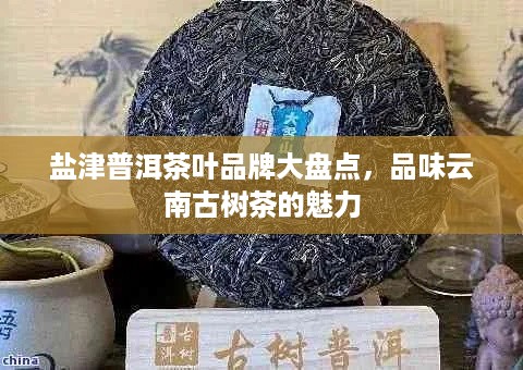 盐津普洱茶叶品牌大盘点，品味云南古树茶的魅力