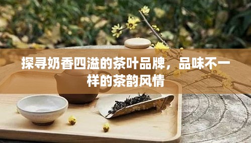 探寻奶香四溢的茶叶品牌，品味不一样的茶韵风情