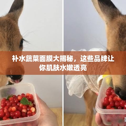 补水蔬菜面膜大揭秘，这些品牌让你肌肤水嫩透亮