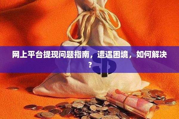 网上平台提现问题指南，遭遇困境，如何解决？