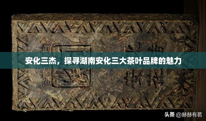 安化三杰，探寻湖南安化三大茶叶品牌的魅力