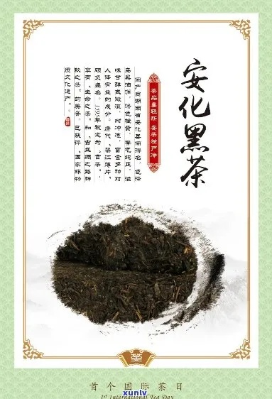 安化三杰，探寻湖南安化三大茶叶品牌的魅力