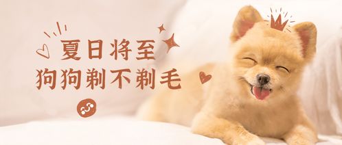 羊小咩便荔卡本地套出来，一探究竟