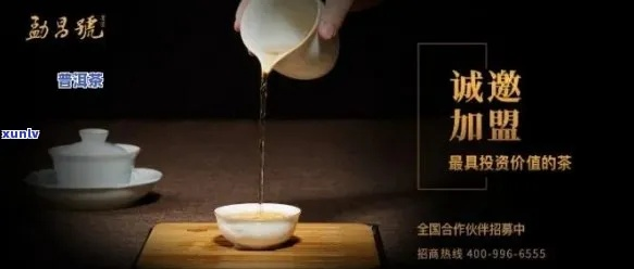 莆田茶叶品牌加盟指南，如何选择适合自己的好项目