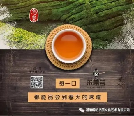 青春茶香，品味成长—专为青少年打造的茶叶品牌