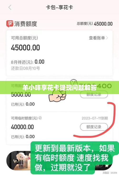 羊小咩享花卡提现问题解答