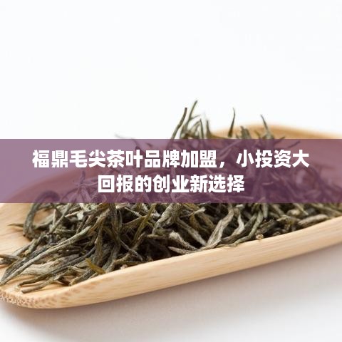 福鼎毛尖茶叶品牌加盟，小投资大回报的创业新选择