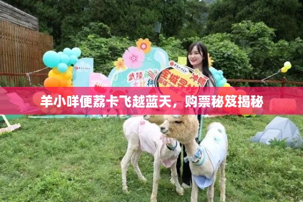 羊小咩便荔卡飞越蓝天，购票秘笈揭秘
