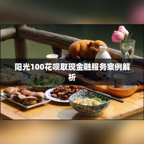 阳光100花呗取现金融服务案例解析