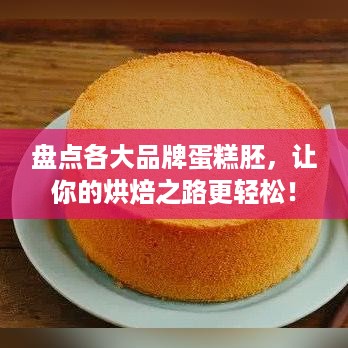 盘点各大品牌蛋糕胚，让你的烘焙之路更轻松！