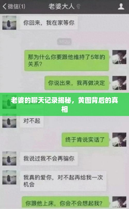老婆的聊天记录揭秘，黄图背后的真相
