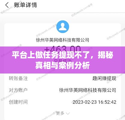 平台上做任务提现不了，揭秘真相与案例分析