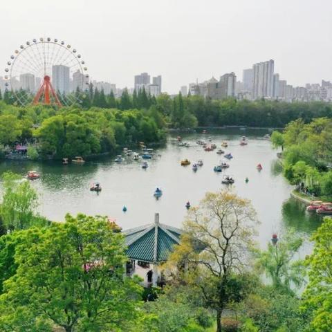 合肥京东白条找商家兑现攻略