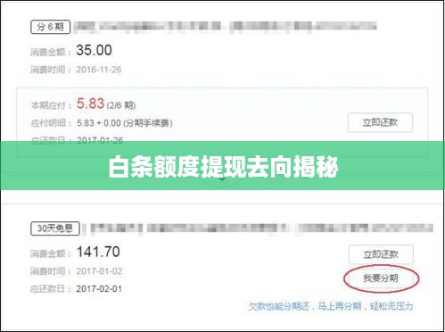 白条额度提现去向揭秘