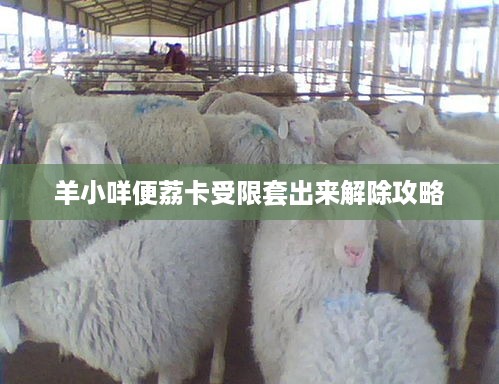 羊小咩便荔卡受限套出来解除攻略