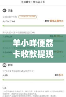 羊小咩便荔卡收款提现攻略