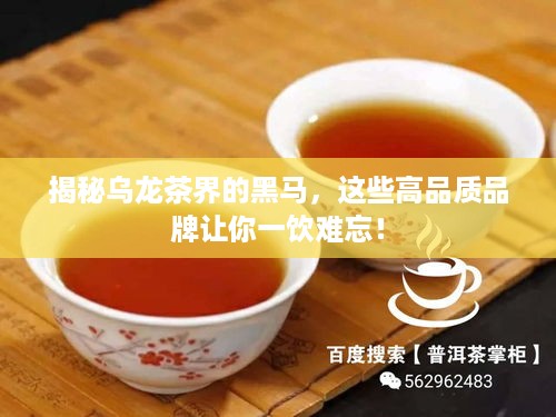 揭秘乌龙茶界的黑马，这些高品质品牌让你一饮难忘！