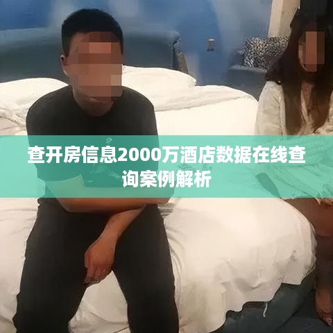 查开房信息2000万酒店数据在线查询案例解析