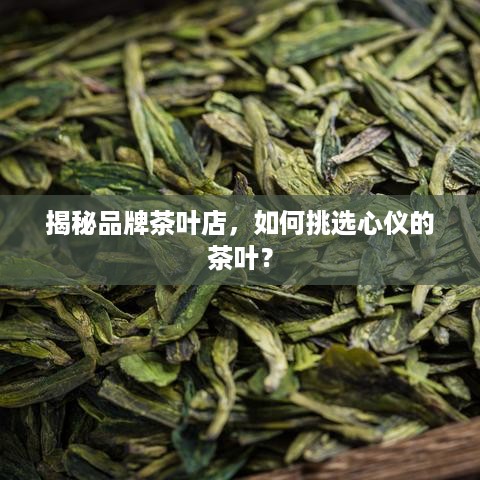 揭秘品牌茶叶店，如何挑选心仪的茶叶？