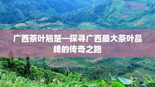 广西茶叶翘楚—探寻广西最大茶叶品牌的传奇之路