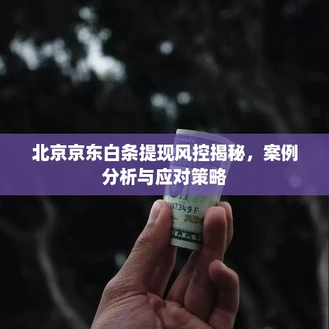北京京东白条提现风控揭秘，案例分析与应对策略