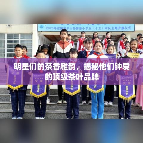 明星们的茶香雅韵，揭秘他们钟爱的顶级茶叶品牌