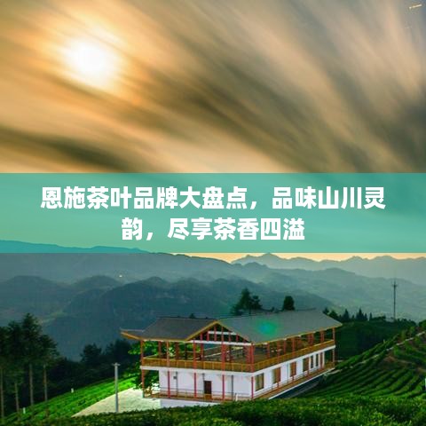 恩施茶叶品牌大盘点，品味山川灵韵，尽享茶香四溢