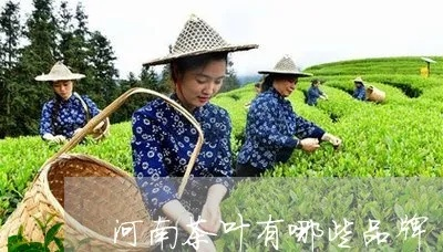 河南茶叶品牌大盘点，品味中原茶香，这些品牌不容错过！
