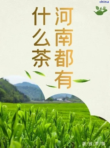 河南茶叶品牌大盘点，品味中原茶香，这些品牌不容错过！