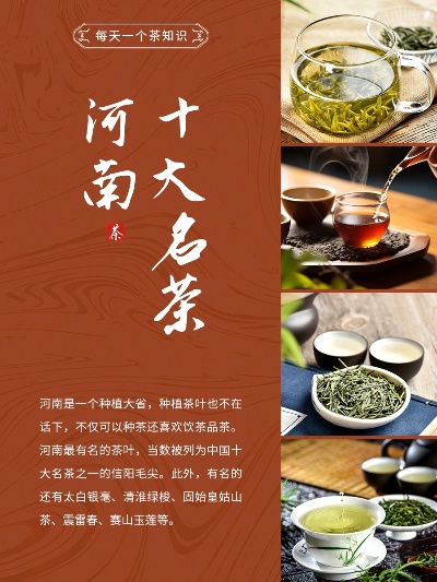河南茶叶品牌大盘点，品味中原茶香，这些品牌不容错过！